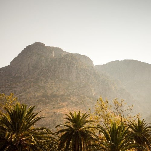 mountains and palm trees just outside Palm Springs, California