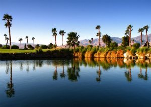 Palm Springs Natural Real Estate